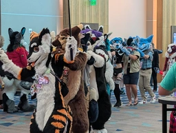 conga line of sergals