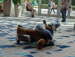 (2/3) delta and kaelin wrestle