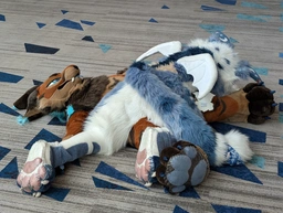 (3/3) delta and kaelin wrestle