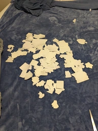 the discarded backs of all the stickers