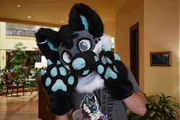 (1/2) Greyson the wolf