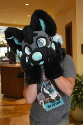 (2/2) Greyson the wolf