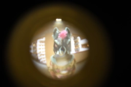Ziggy through the peephole