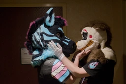 (3/7) shots of Ziggy and Scrumble