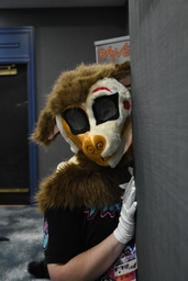 (4/7) shots of Ziggy and Scrumble