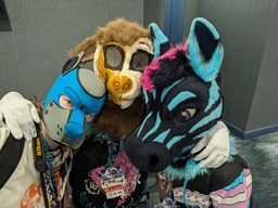 (7/7) shots of Ziggy and Scrumble