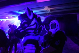 Ziggy and Scrumble at the rave