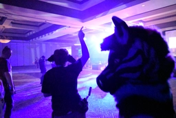 Scrumble had to retire the head but Ziggy kept going