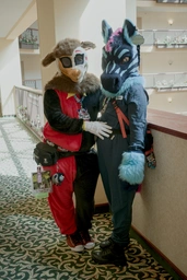 (2/2) Scrumble and Ziggy outside of our room