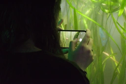 Ada, taking a picture on his phone