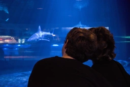 Scrumble and Tra$h at the shark tank