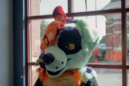 Scraps at the window