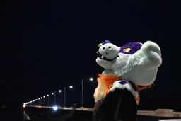 Scraps in the street lights