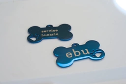 two dog tags saying "ebu" and "service Lucario"
