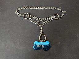 the martingale collar with the tags on