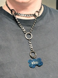 the collar and tags on me!