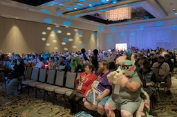 the crowd for opening ceremonies at FFF
