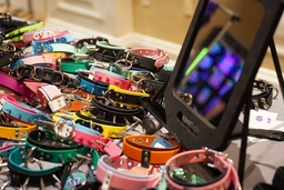 paw off if you recognize this table full of collars and leashes :3