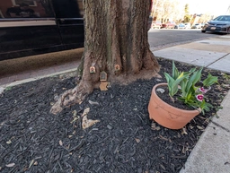 little tiny gnome home decorations on the trunk of a tree on the sidewalk