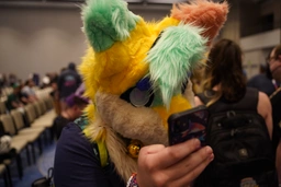 Maze at the vore meet