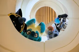 (3/6) blue dog group photo, spiral staircase 1