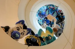 (5/6) blue dog group photo, spiral staircase 3