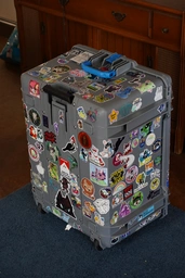 (2/2) suitcase before